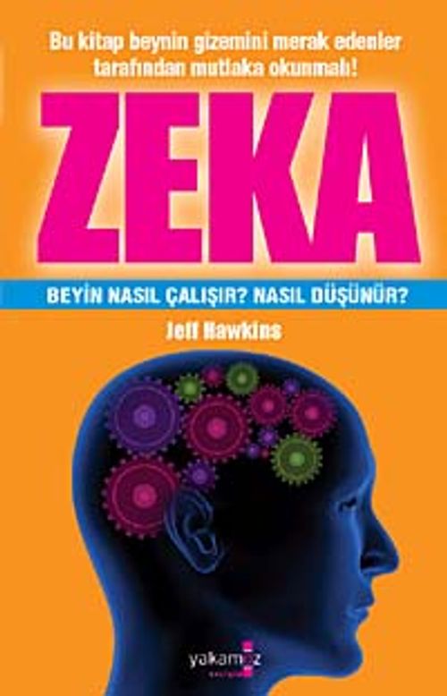 Zeka & Beyin Nasıl Çalışır? Nasıl Düşünür?