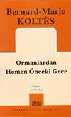 Ormanlardan Hemen &Ouml;nceki Gece