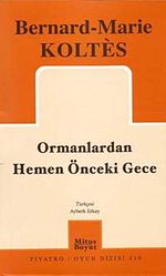 Ormanlardan Hemen Önceki Gece