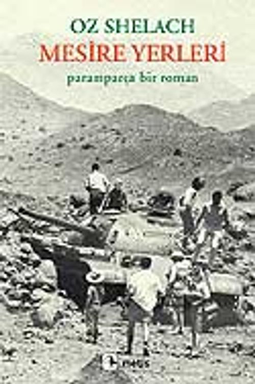 Mesire Yerleri / Paramparça Bir Roman