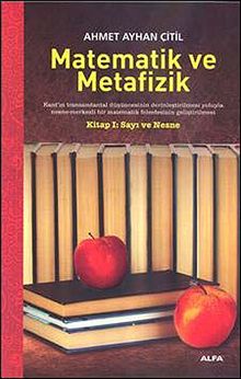 Matematik ve Metafizik & Kitap 1: Sayı ve Nesne