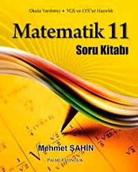 Matematik 11 Soru Kitabı
