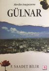 Merv'den Anaypazarı'na G&uuml;lnar