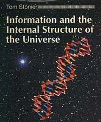Information and the Internal Structure of the Universe