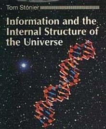 Information and the Internal Structure of the Universe