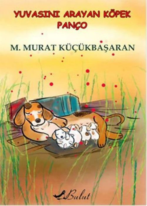 Yuvasını Arayan Köpek Panço