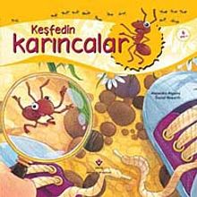 Keşfedin / Karıncalar