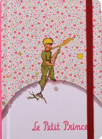 Küçük Prens Defter (KPR206)