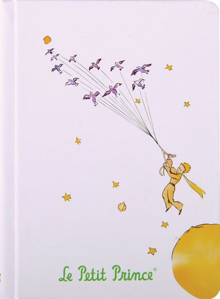 Küçük Prens Defter (KPR212)