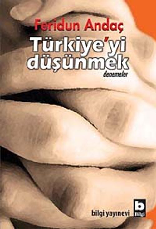 Türkiye'yi Düşünmek