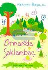 Ormanda Saklambaç