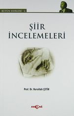 Şiir İncelemeleri