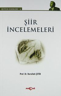 Şiir İncelemeleri