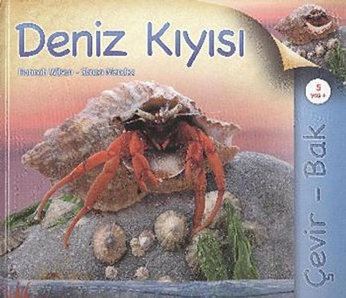 Çevir Bak / Deniz Kıyısı