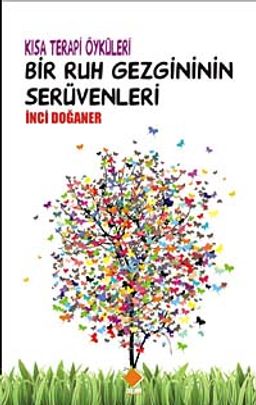 Bir Ruh Gezginin Serüvenleri cep boy