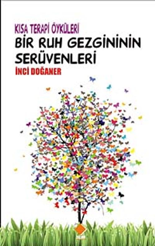 Bir Ruh Gezginin Serüvenleri cep boy