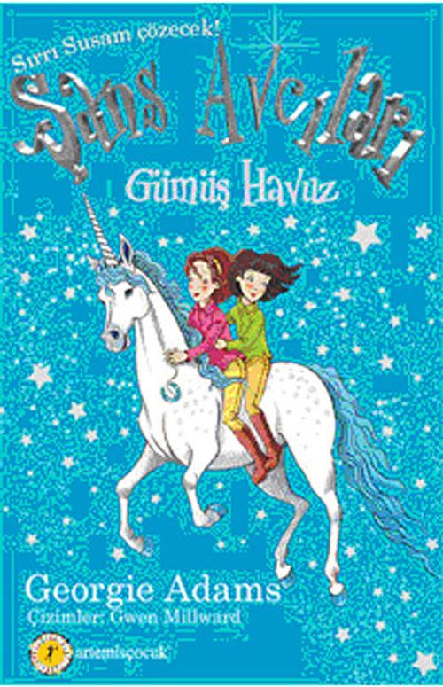 Şans Avcıları 2 / Gümüş Havuz