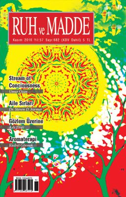 Ruh ve Madde Dergisi Kasım 2016 Yıl: 57 Sayı:682
