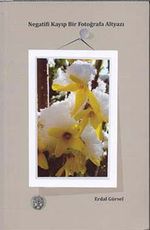 Negatifi Kayıp Bir Fotoğrafa Altyazı