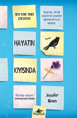 Hayatın Kıyısında (Ciltli)