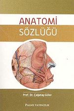 Anatomi Sözlüğü