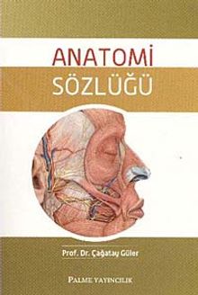 Anatomi Sözlüğü