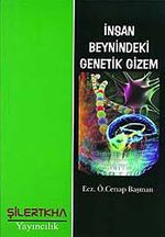 İnsan Beynindeki Genetik Gizem