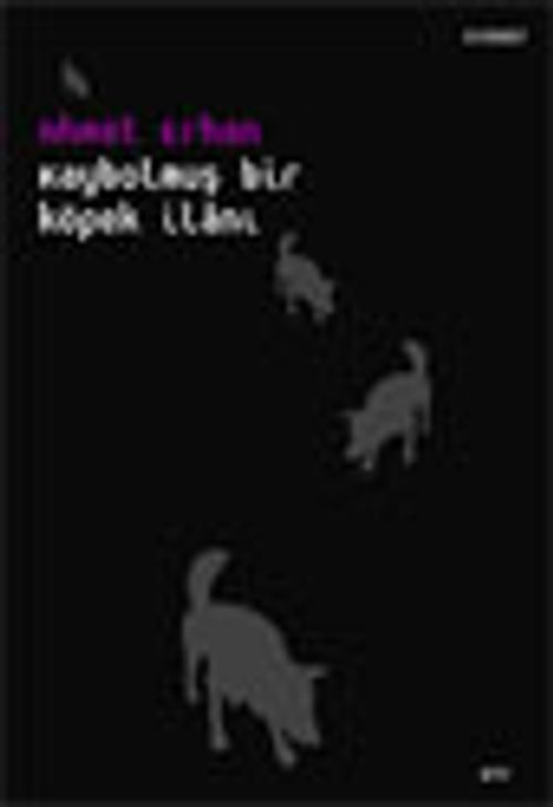 Kaybolmuş Bir Köpek İlanı