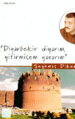 Diyarbekir Diyarım, Yitirmişem Yanarım