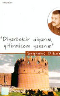 Diyarbekir Diyarım, Yitirmişem Yanarım