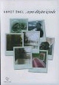 Aynı Düşün İçinde