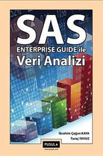 SAS Enterprise Guide ile Veri Analizi