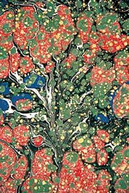 İsimsiz / Tüzin Tiryaki (TTU 012-30x45) (Çerçevesiz)