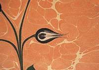 İsimsiz / Tüzin Tiryaki (TTU 032-35x50) (Çerçevesiz)