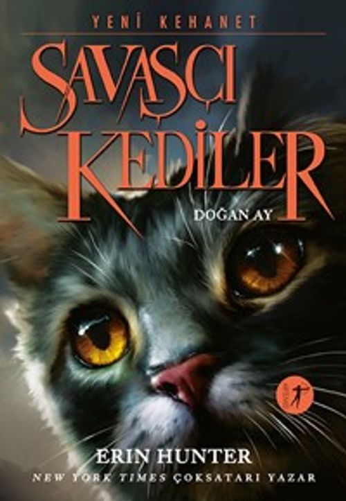 Savaşçı Kediler / Doğan Ay