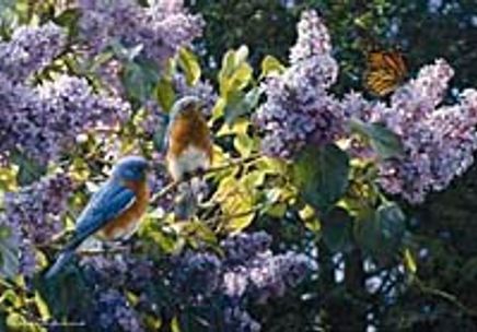 Bahar Faslı 500 Parça (34x48-Kod:3522)