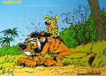 Marsupilami Yap Boz 5