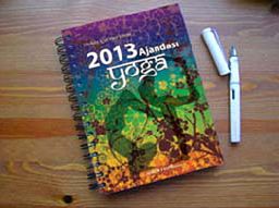 Yoga Ajandası 2013 (Spiral Cilt)