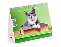 2017 Kitapyurdu Masa Takvimi (Kediler)