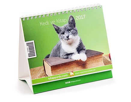 2017 Kitapyurdu Masa Takvimi (Kediler)