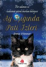 Ay Işığında Pati İzleri