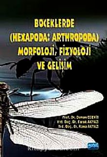 Böceklerde (Hexapoda: Arthropoda) Morfoloji, Fizyoloji ve Gelişim