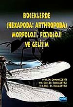 Böceklerde (Hexapoda: Arthropoda) Morfoloji, Fizyoloji ve Gelişim