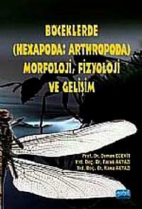 Böceklerde (Hexapoda: Arthropoda) Morfoloji, Fizyoloji ve Gelişim