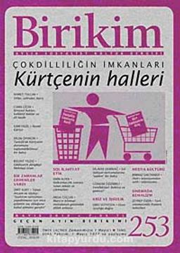 Birikim / Sayı:253  Yıl: 2010 / Aylık Sosyalist Kültür Dergisi