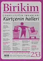 Birikim / Sayı:253  Yıl: 2010 / Aylık Sosyalist Kültür Dergisi