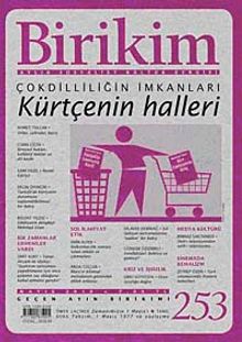 Birikim / Sayı:253  Yıl: 2010 / Aylık Sosyalist Kültür Dergisi