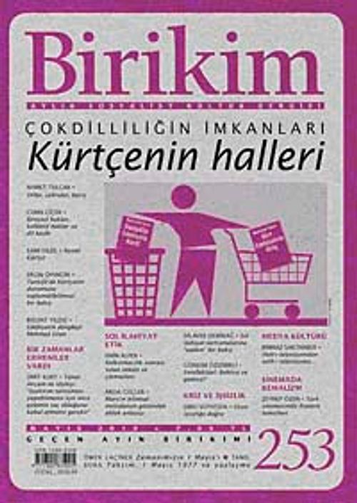 Birikim / Sayı:253  Yıl: 2010 / Aylık Sosyalist Kültür Dergisi