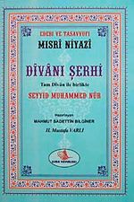 Divanı Şerhi