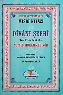 Divanı Şerhi